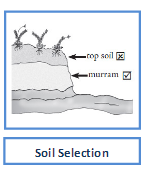 marram soil